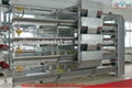 Automatic H type broiler chicken cage -poultry farming machine