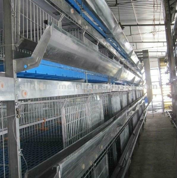Automatic H type broiler chicken cage -poultry farming machine 4