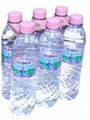 Premium Natural Mineral Water 2