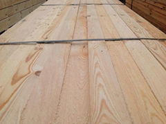 Edged Pine Boards Export Ukraine