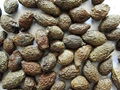 malva nuts 1