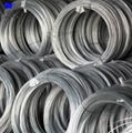 galvanized steel wire