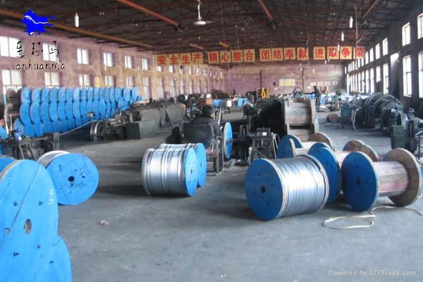 galvanized stranded steel wire  5