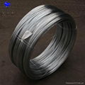 galvanized steel wire