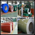 prepainted galvanized steel coil 1