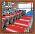 prepainted galvanized steel coil 3