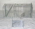 Laboratory mouse cage  Lab mouse cage  Mouse cage 3