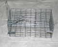 Laboratory mouse cage  Lab mouse cage  Mouse cage 4