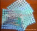 Woven hot stamping hologram label 1