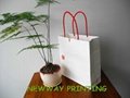 Eco-friendly paper bag 2