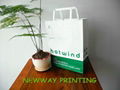 Eco-friendly paper bag 5