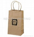 Eco-friendly paper bag 1