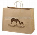 Eco-friendly paper bag 5