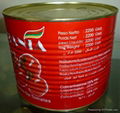 2.2kg tomato paste