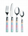 Stainless Steel Cutlery With Plastic Handle 2