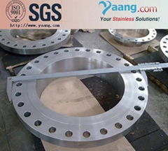 Duplex & Super Duplex Steel A182 F51 S31803 S32750 Flange