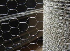 Hexagonal Wire Netting 