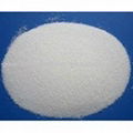 Propionyl-L-Carnitine HCl(PLC)