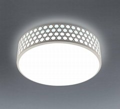 24W LED Ceiling Light/LED Plastic Ceiling Lamps