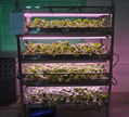 High Power 600nm Red LED Grow Light 3