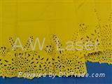 AW-B Laser Cutting Machine 2