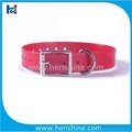 flexible plastic coated dog collars