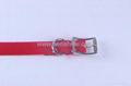 flexible plastic coated dog collars 2