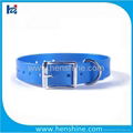 blaze blue nylon belt buckle dog collar