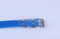 blaze blue nylon belt buckle dog collar 3