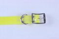 eco-friendly cheap personalized dog collars 2