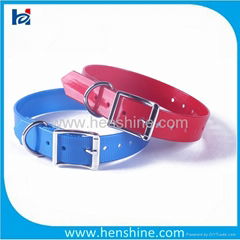 clear western style dog collars