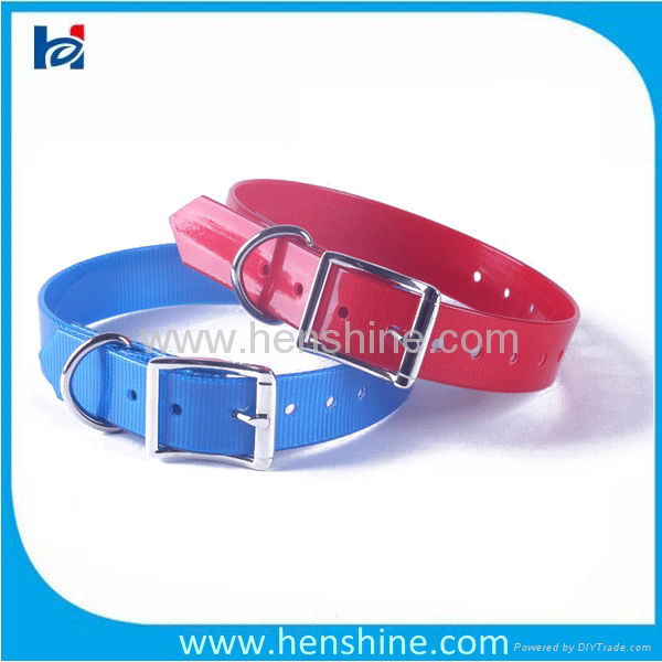 clear western style dog collars