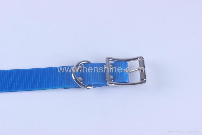 clear western style dog collars 2