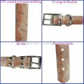 durable fashion Camo Dog Collar 2