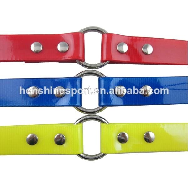 beatiful polyurethane dog collar with a center ring 2