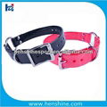 colorful durable TPU dog collar with a