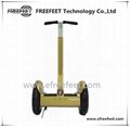 China Electric Vehicle Chariot Scooter 4