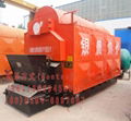 DZL steam boiler 3