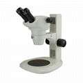 FA050850 Zoom Stereo Microscope 1
