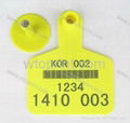 RFID Animal Tag rfid Pigeon tag rfid