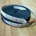 Hot Selling IP65 Double Row 120LED/Meter Flexible 5050 LED Strip Light 1