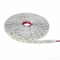 CE Approved DC12V IP65 5050 Flexible LED