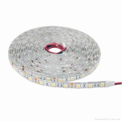 CE Approved DC12V IP65 5050 Flexible LED Strip Light