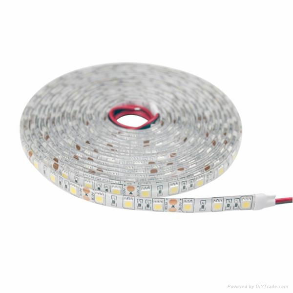 CE Approved DC12V IP65 5050 Flexible LED Strip Light