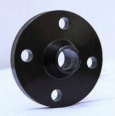 Steel Flanges