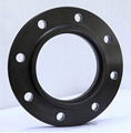 Steel Flanges 4