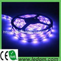 waterproof 5050 led strip 300 leds rgb 5