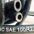 SAE 100R14 PTFE Hose 2