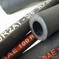 SAE 100R14 PTFE Hose 3