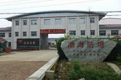 滄州渤海防爆特種工具有限公司